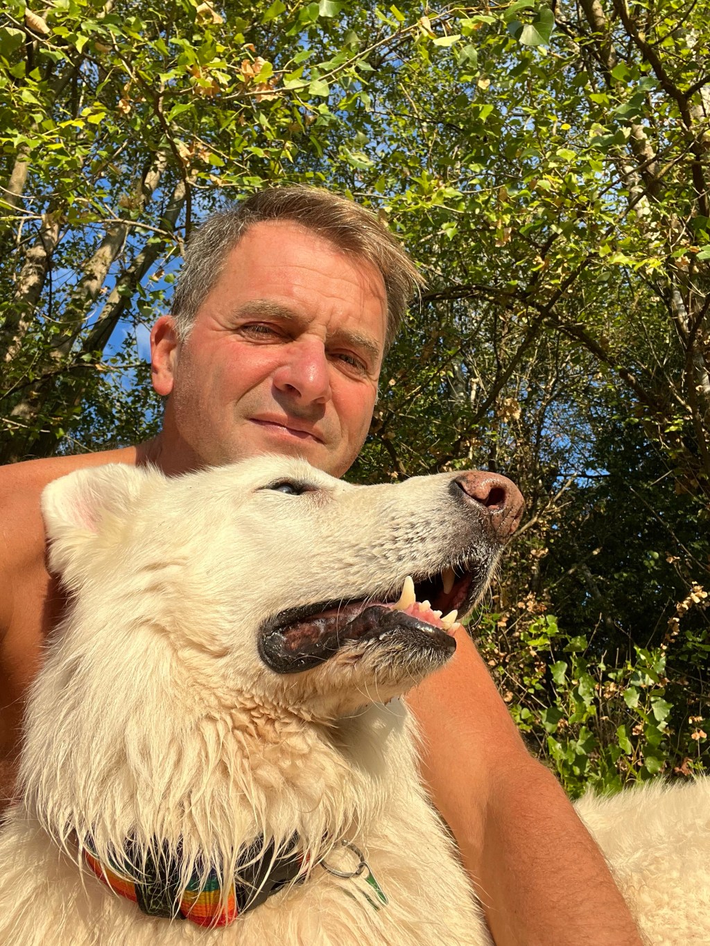 Schockdiagnose Babesiose