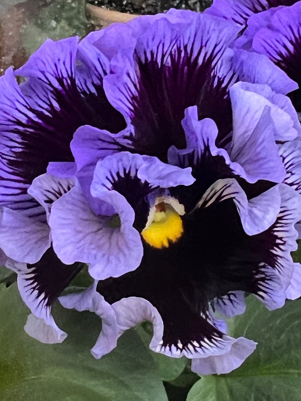 Der März im&nbsp;Exotengarten